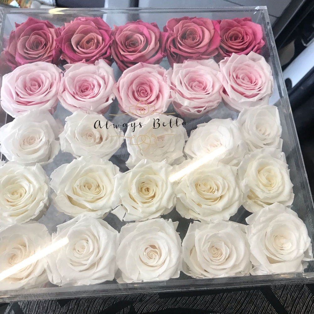 Always Bella eternal roses in case
